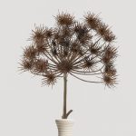 ענף ענק בצבע חום