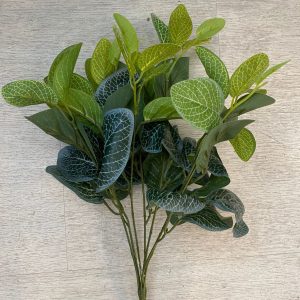 ⁦זר עלים מנומר⁩ – תמונה ⁦2⁩