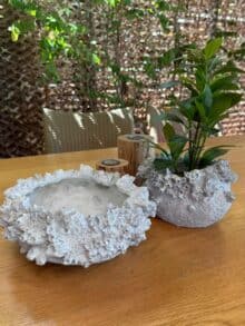 ⁦כד קונכיה⁩ – תמונה ⁦5⁩