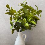 זר ענף הדר ירוק