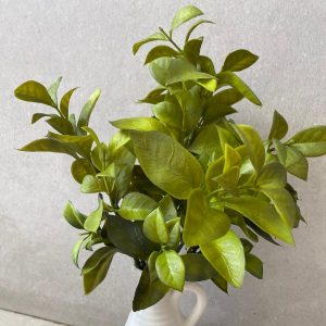 זר ענף הדר ירוק – תמונה 2