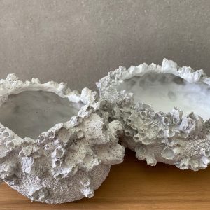 ⁦כד קונכיה⁩ – תמונה ⁦2⁩