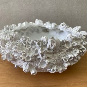 ⁦כד קונכיה⁩ – תמונה ⁦3⁩