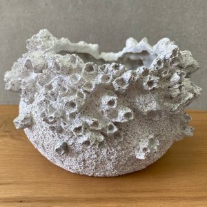 ⁦כד קונכיה⁩ – תמונה ⁦4⁩