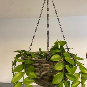 ⁦מתלה עציצים רטאן - 2 צבעים⁩ – תמונה ⁦3⁩