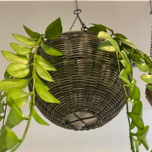 ⁦מתלה עציצים רטאן - 2 צבעים⁩ – תמונה ⁦4⁩