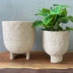 בית עציץ דמוי אבן עם רגל