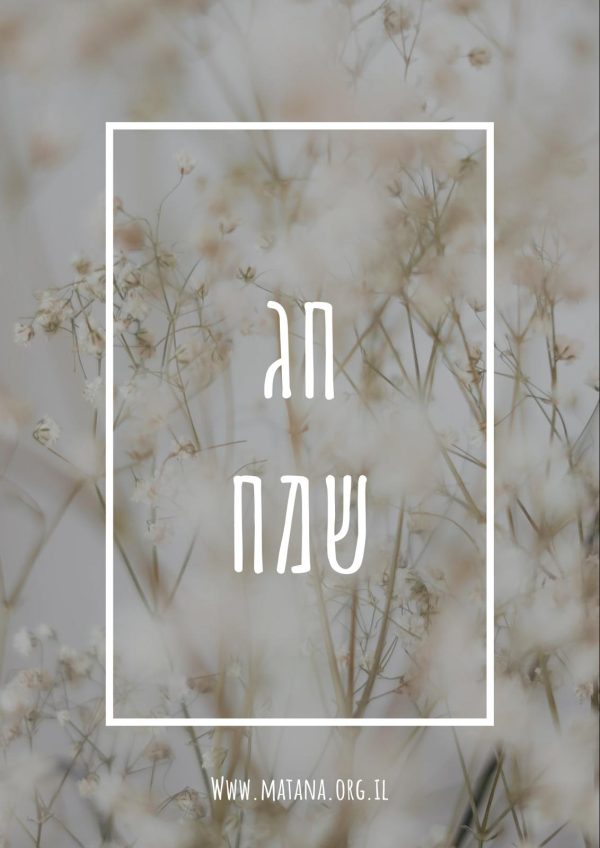 ⁦בקבוק יין מעוצב⁩ – תמונה ⁦14⁩