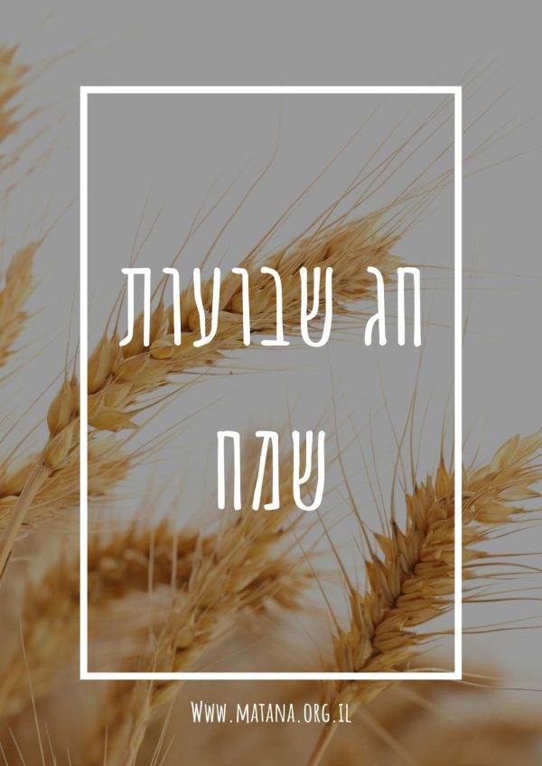 ⁦בקבוק יין מעוצב⁩ – תמונה ⁦13⁩