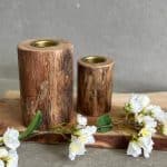 פמוט גזע עץ - 2 גדלים