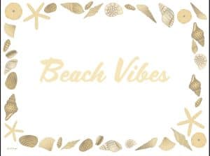 ⁦חבילת פלייסמנט - צדפים⁩ – תמונה ⁦9⁩