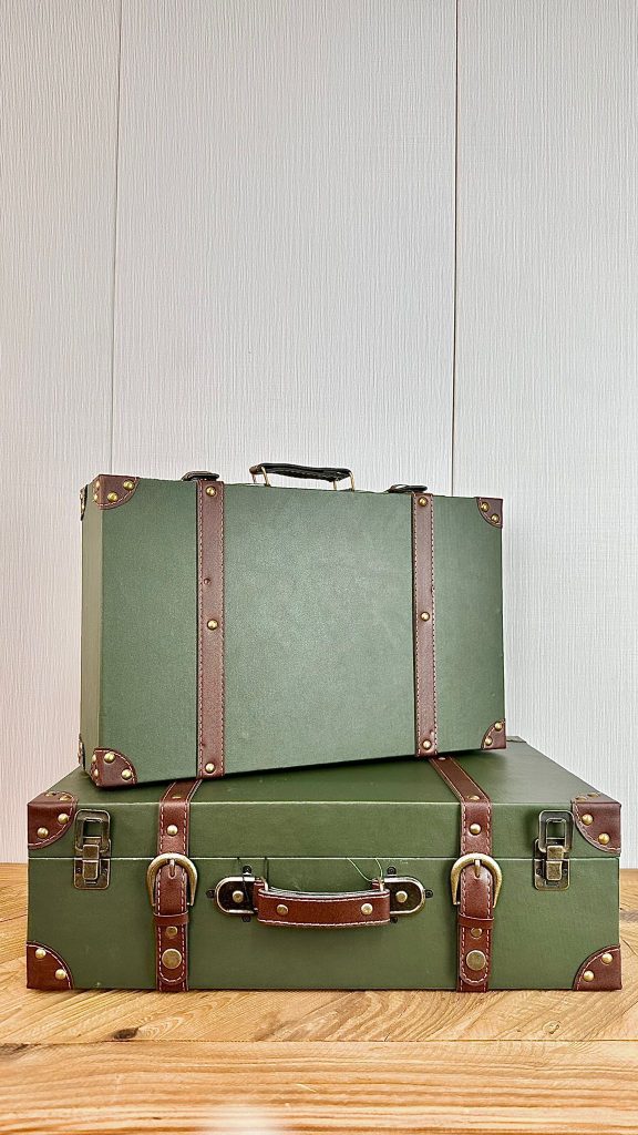 מזוודת אחסון - ירוק