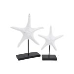 פסל כוכב ים