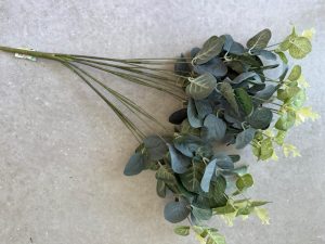 ⁦ענף אקליפטוס⁩ – תמונה ⁦4⁩