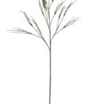 זר זרד ענף ערבה אפור