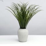 עציץ ירוק בכד לבן