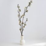 ענף שקד לבן