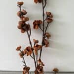 ענף שקד חום