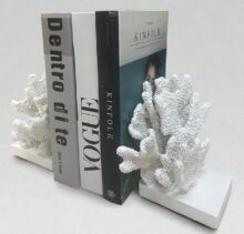 ⁦זוג תומכי ספרים אלמוגים⁩ – תמונה ⁦7⁩