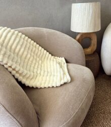 ⁦כירבולית פסים שמנת⁩ – תמונה ⁦4⁩