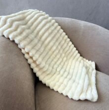 ⁦כירבולית פסים שמנת⁩ – תמונה ⁦6⁩