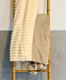 ⁦כירבולית פסים שמנת⁩ – תמונה ⁦2⁩