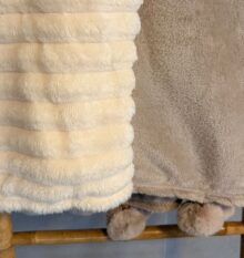 ⁦כירבולית פסים שמנת⁩ – תמונה ⁦3⁩