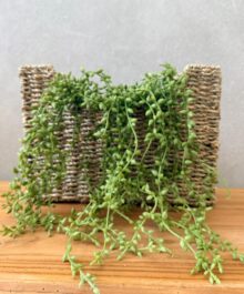 ⁦סל חבל מלבני⁩ – תמונה ⁦3⁩