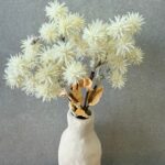 ענף לבן קוצני