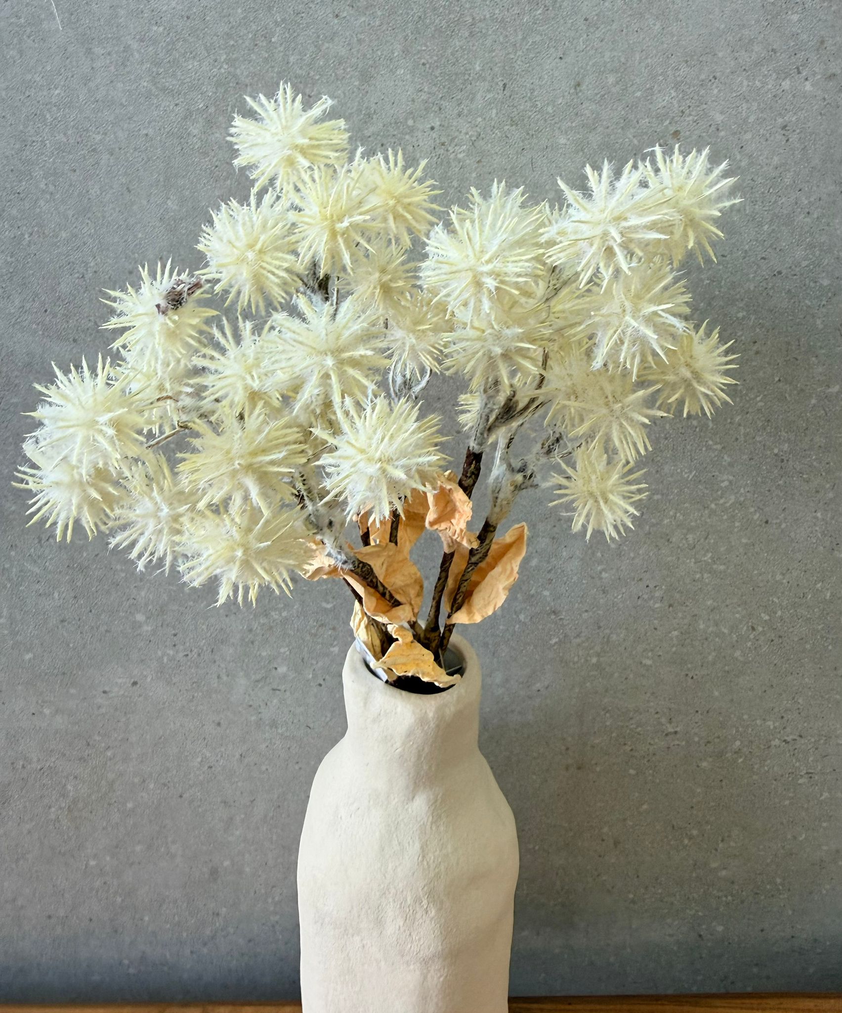 ענף לבן קוצני (3) ענף לבן קוצני – תמונה 1