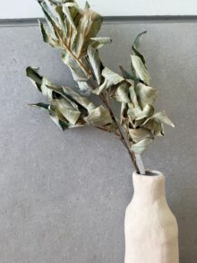 ⁦ענף עלי סתיו⁩ – תמונה ⁦2⁩