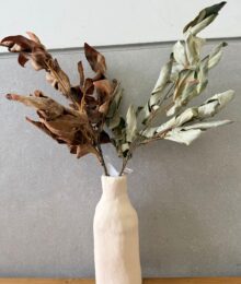 ⁦ענף עלי סתיו⁩ – תמונה ⁦10⁩