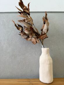 ⁦ענף עלי סתיו⁩ – תמונה ⁦5⁩