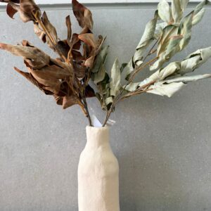 ענף עלי סתיו