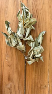 ⁦ענף עלי סתיו⁩ – תמונה ⁦7⁩