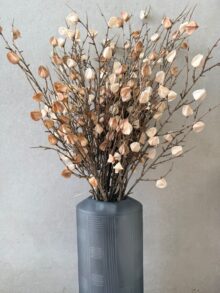 ⁦זוג ענפי פעמונית⁩ – תמונה ⁦6⁩