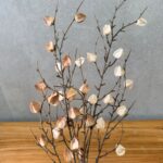 זוג ענפי פעמונית