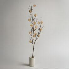 ⁦זוג ענפי פעמונית⁩ – תמונה ⁦8⁩