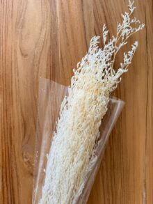 ⁦חבילת ענפים לבנים⁩ – תמונה ⁦2⁩