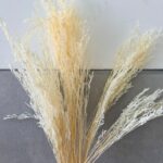 חבילת ענפים לבנים