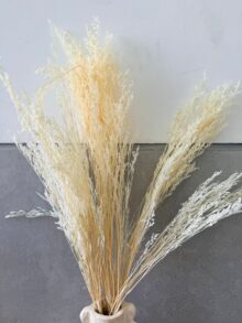 חבילת ענפים לבנים