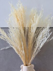 ⁦חבילת ענפים לבנים⁩ – תמונה ⁦5⁩