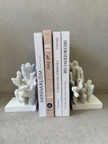 ⁦זוג תומכי ספרים אלמוגים⁩ – תמונה ⁦5⁩