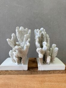 ⁦זוג תומכי ספרים אלמוגים⁩ – תמונה ⁦4⁩