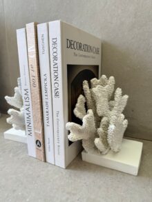 ⁦זוג תומכי ספרים אלמוגים⁩ – תמונה ⁦3⁩